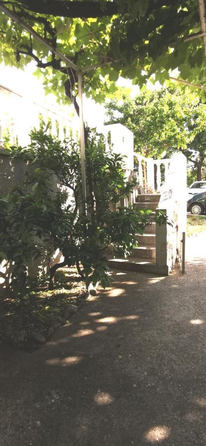 Sobe I Apartmani Marovic Petrovac Екстер'єр фото